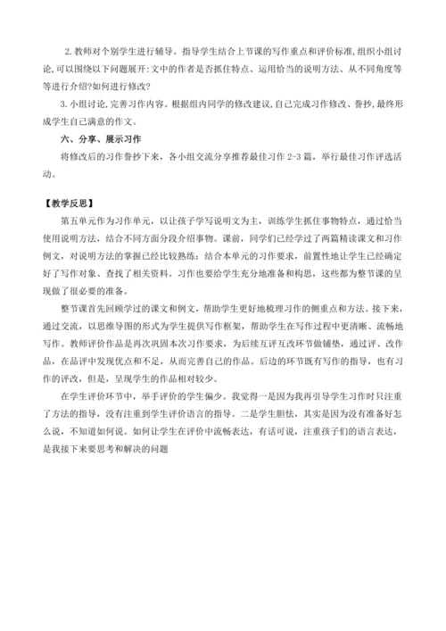 统编版语文五年级上册第五单元习作：介绍一种事物  教案