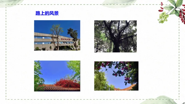5 《铺满巴掌的水泥道》仿写指导课件
