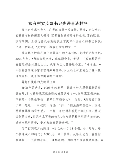 富有村党支部书记先进事迹材料.docx