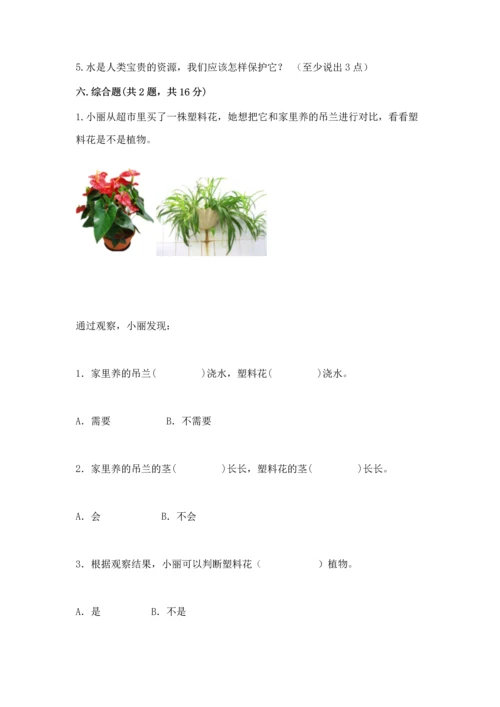 苏教版一年级下册科学期末测试卷【中心小学】.docx