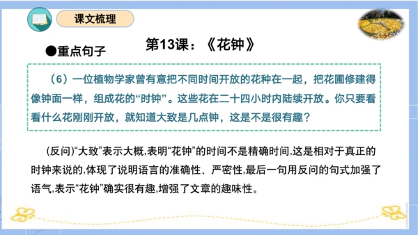 统编版三年级语文下册同步高效课堂系列第四单元（复习课件）