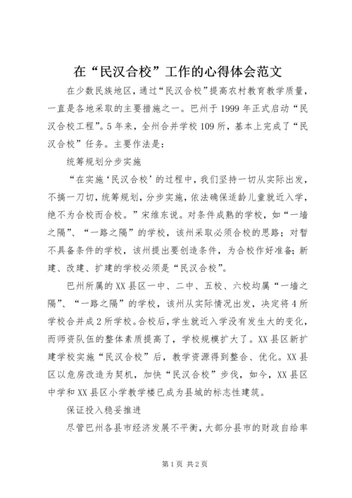 在“民汉合校”工作的心得体会范文.docx