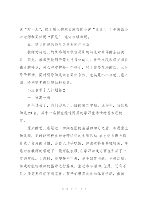 小班春季个人计划.docx