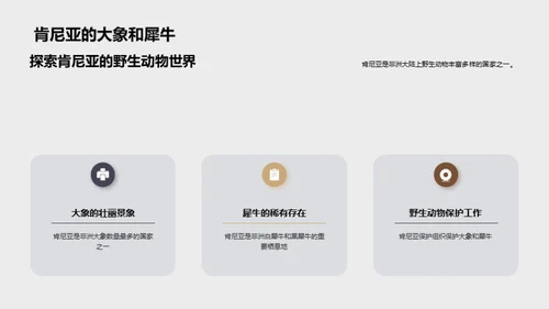 探索非洲野生动物之旅