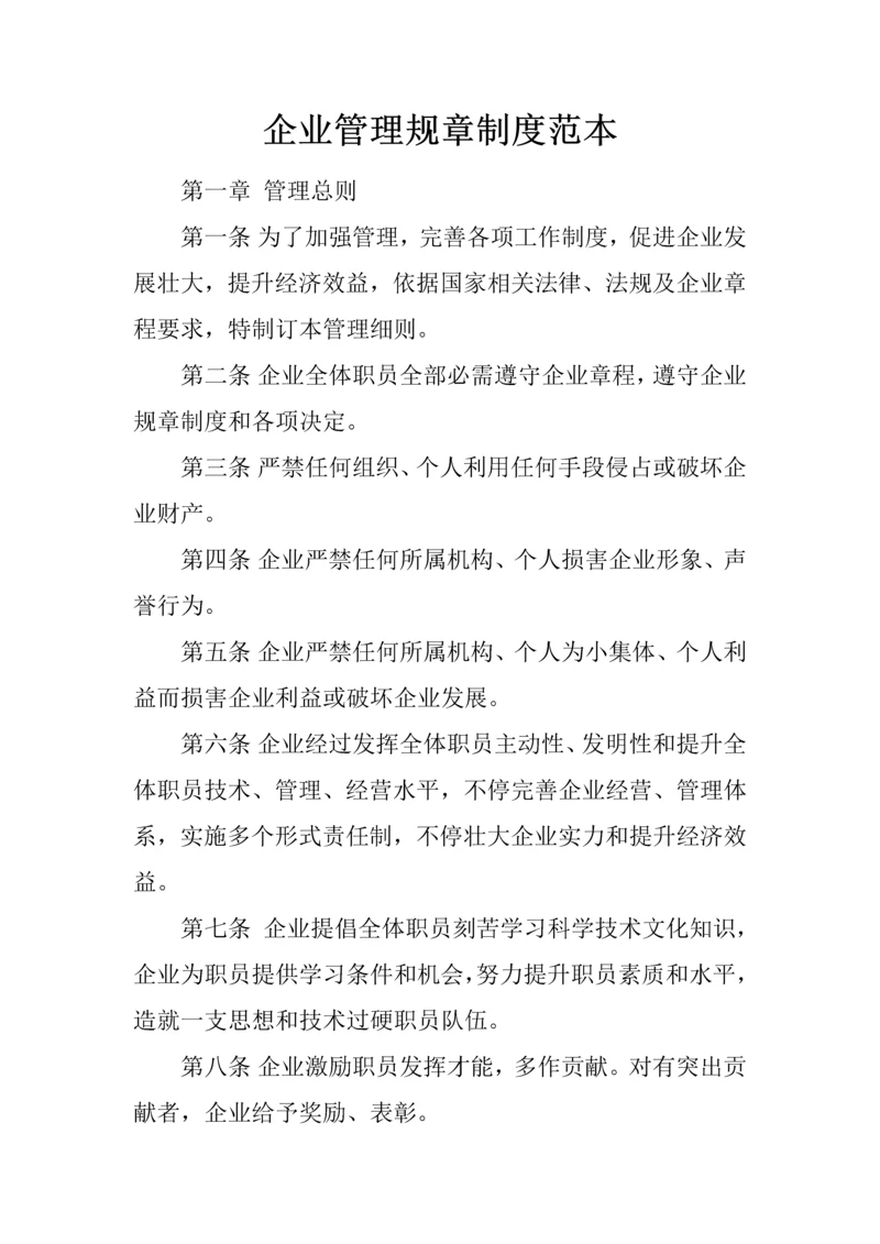 企业管理标准规章核心制度范本.docx