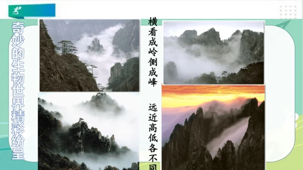 一年级道德与法治下册：第八课 大自然谢谢您 课件（共26张PPT）