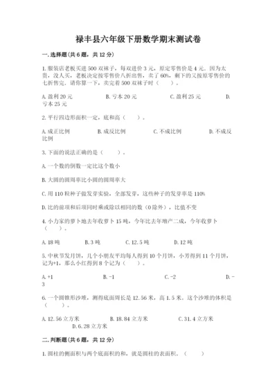 禄丰县六年级下册数学期末测试卷精品加答案.docx