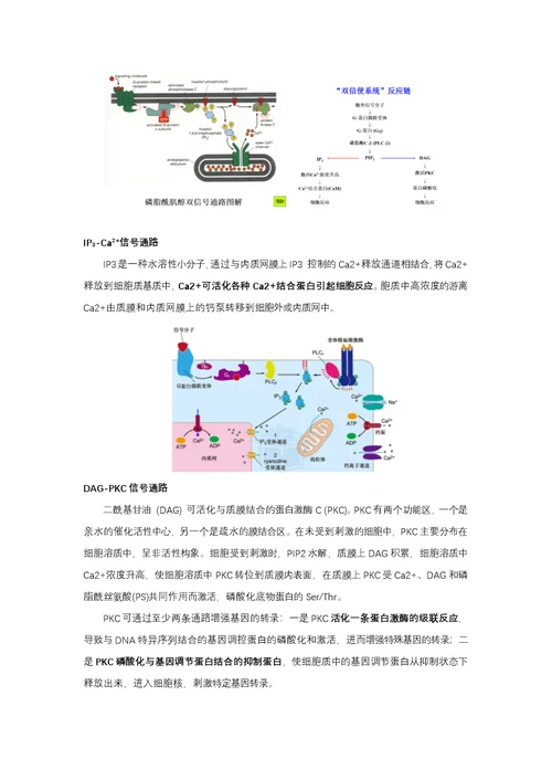 细胞生物学简答题整理(共18页)