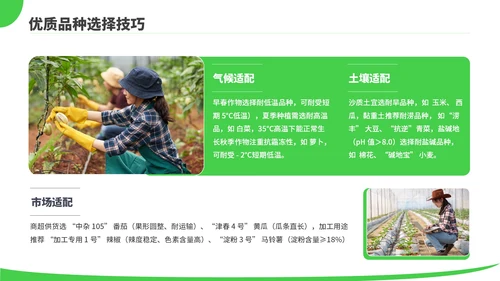 绿色商务风现代农业种植技术PPT模板