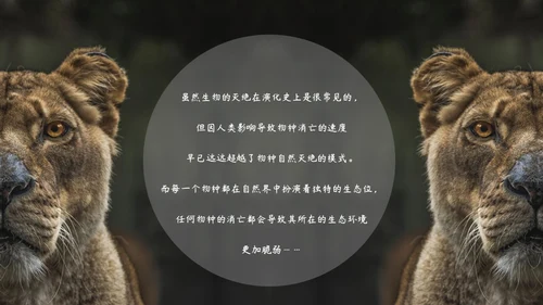 敬畏自然尊重生命保护动物大象通用PPT模板