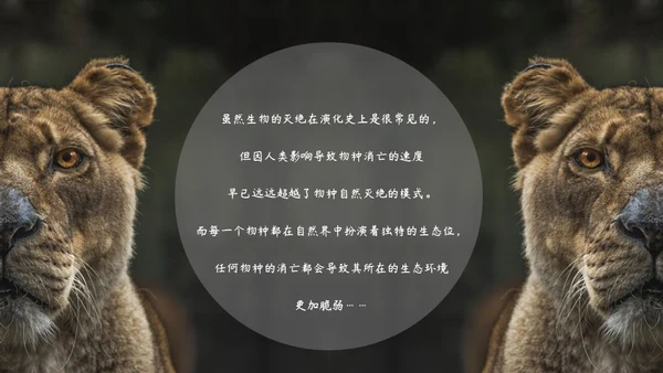 敬畏自然尊重生命保护动物大象通用PPT模板