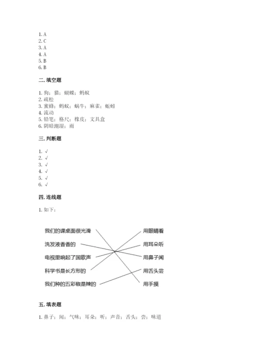 教科版一年级下册科学期末测试卷【轻巧夺冠】.docx
