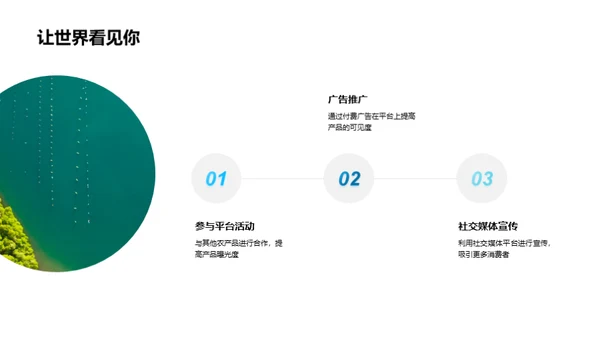 双十一农产品电商行动