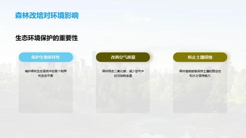 森林改培：挽救绿肺
