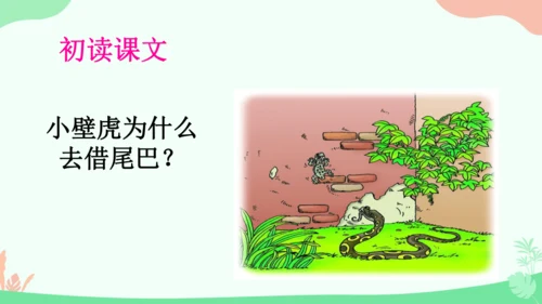 20 小壁虎借尾巴 课件
