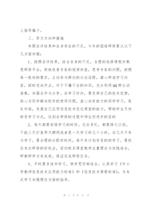 教师信息技术应用能力提升个人研修计划.docx