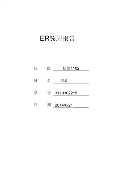 ERP专周实习报告