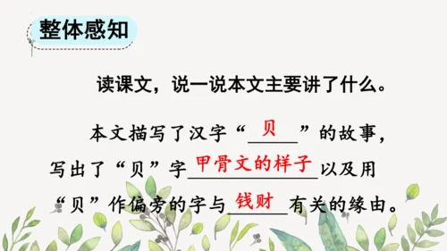 识字3 贝的故事（第一课时）课件