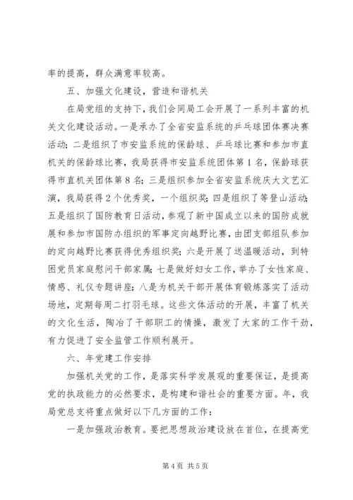 市安监局党务工作小结提纲.docx