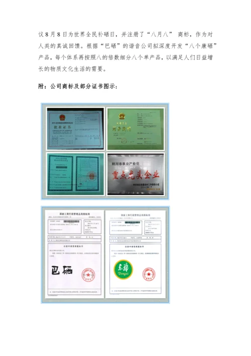 某农业公司营销策划方案.docx
