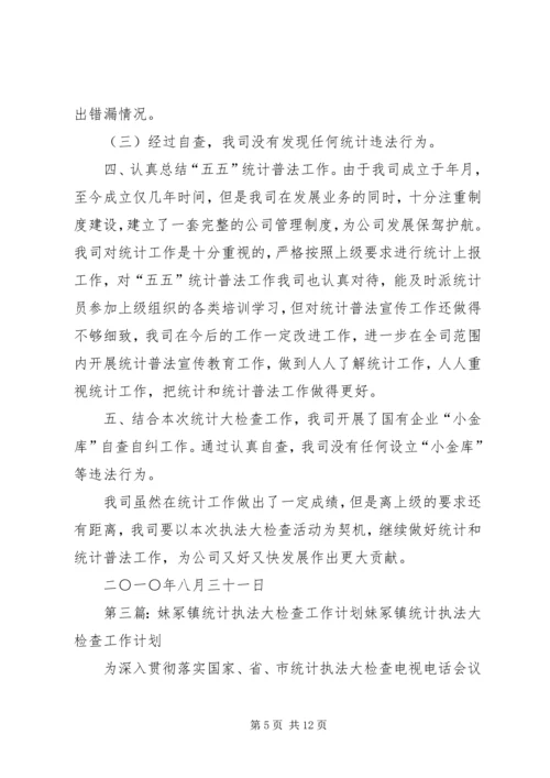 统计执法大检查工作计划.docx