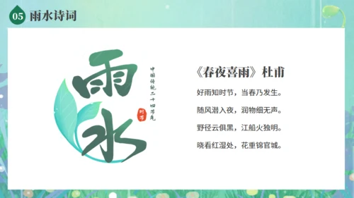雨水节气春雨发芽背景通用PPT模板