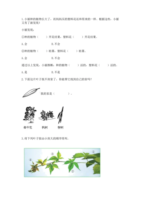 教科版科学一年级上册第一单元《植物》测试卷（b卷）.docx