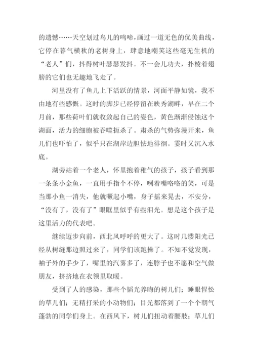 描写冬天风景的作文.docx