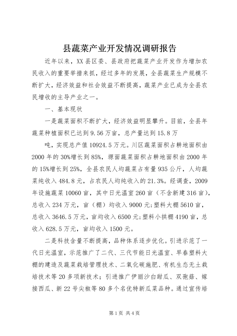 县蔬菜产业开发情况调研报告.docx