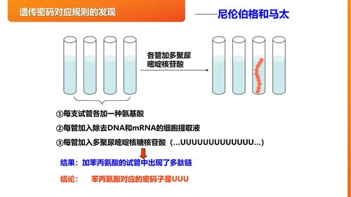 基因遗传密码的破译PPT课件