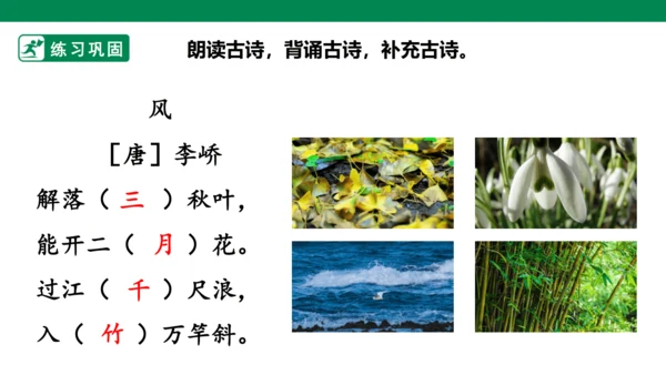 部编1A 第8单元 第11课 会写的字与单元阅读 课件