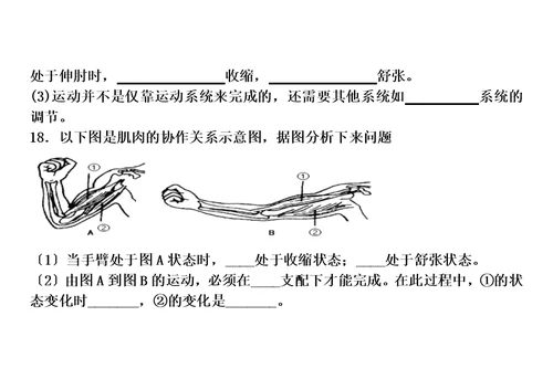 【精选】第一节动物的运动复习题