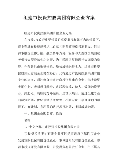 组建市投资控股集团有限公司方案.docx