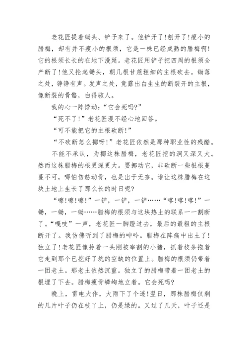 小升初语文试卷及答案3篇.docx