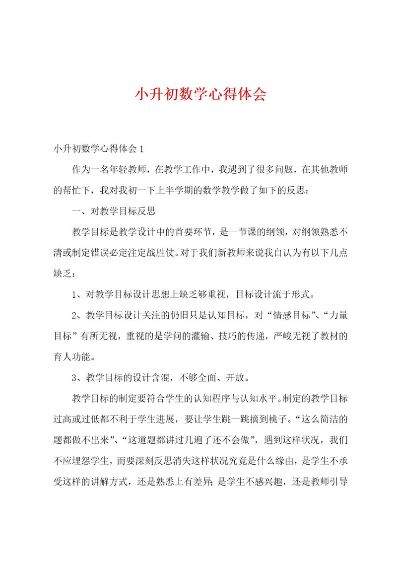 小升初数学心得体会