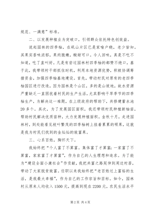 村党组织书记的事迹材料.docx