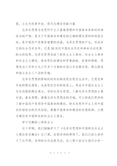 学习毛概的心得体会.docx