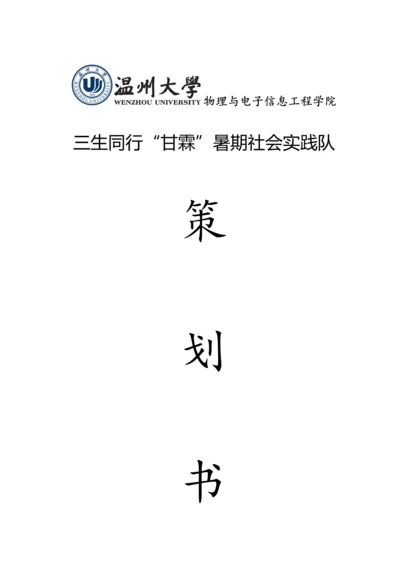 甘霖暑期社会实践队策划书.docx
