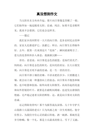 真没想到作文-4.docx