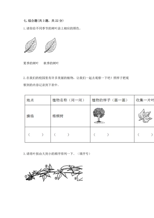 教科版科学一年级上册第一单元《植物》测试卷附答案（a卷）.docx