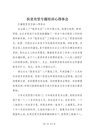 扶贫攻坚专题培训心得体会_4.docx