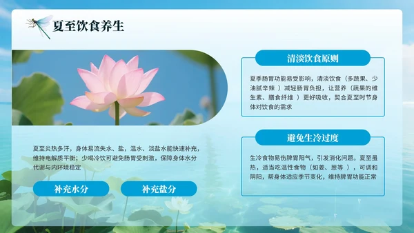 蓝色简约节日节气之夏至PPT模板