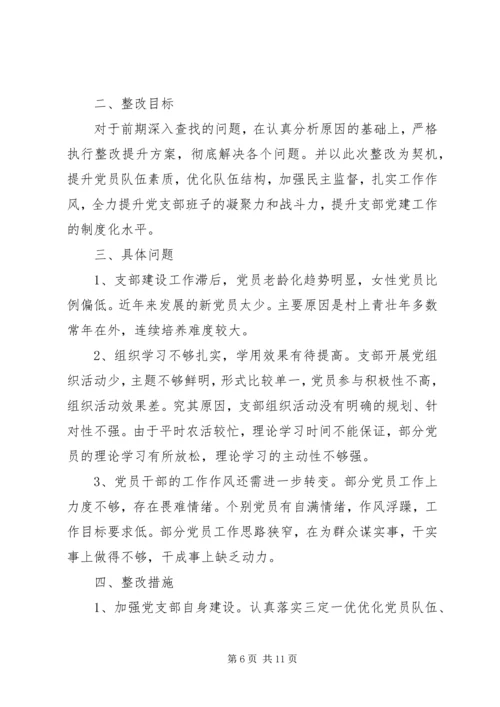 村党员个人整改措施计划.docx