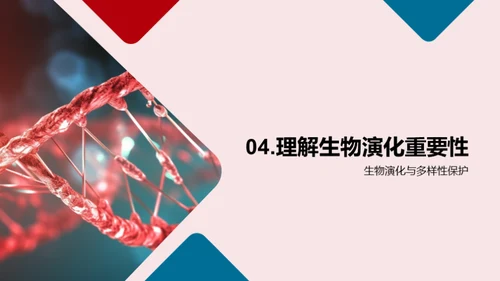 探索生物演化秘密