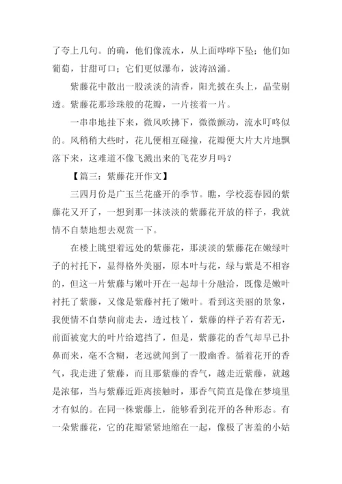 描写紫藤萝的作文.docx