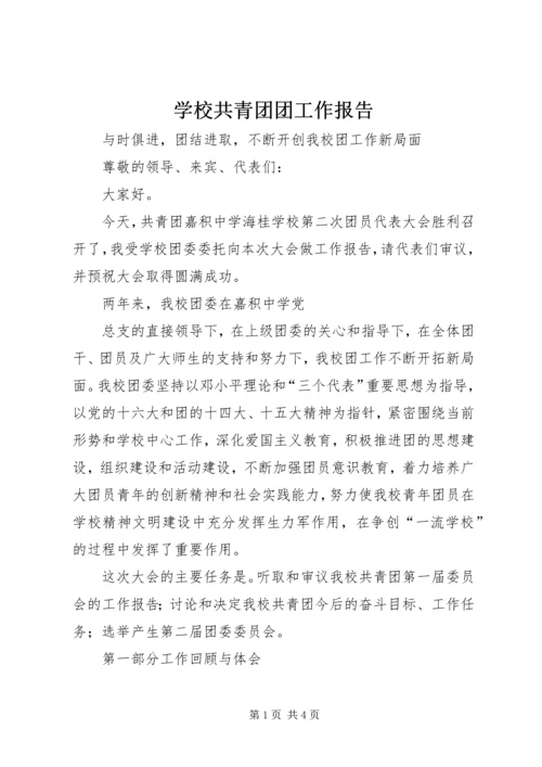 学校共青团团工作报告 (5).docx