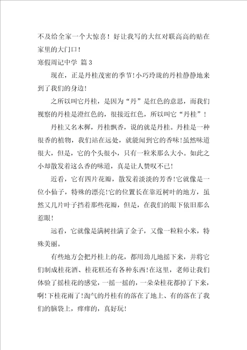 寒假周记高中
