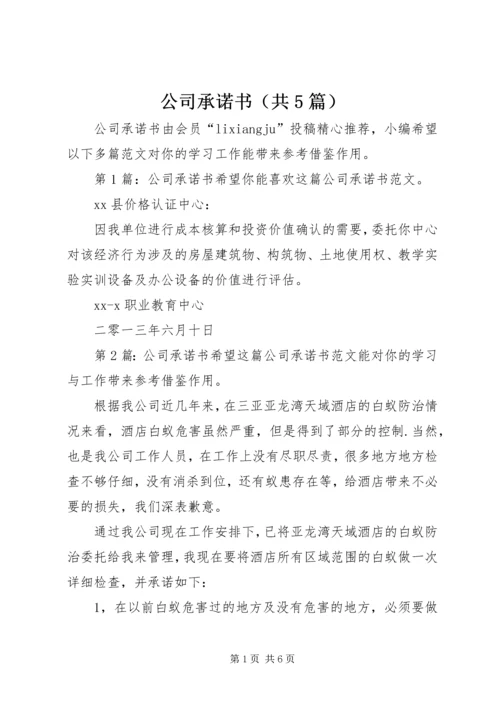 公司承诺书（共5篇）.docx