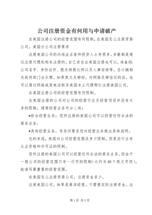 公司注册资金有何用与申请破产 (4).docx