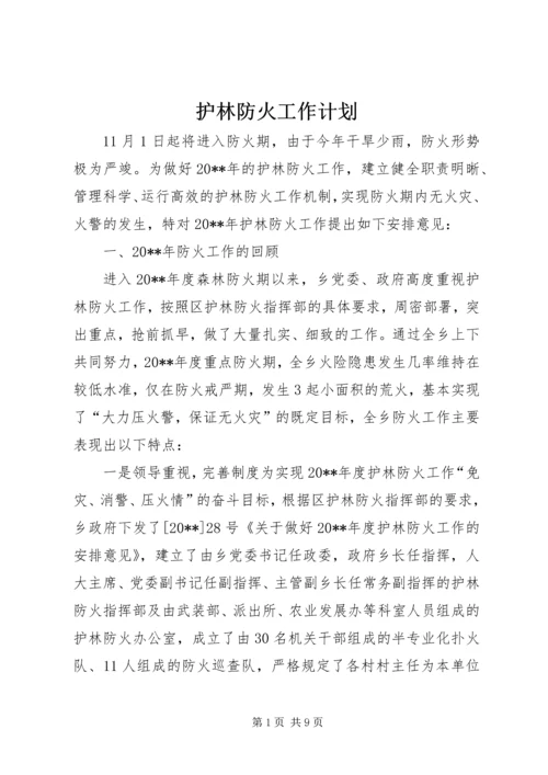 护林防火工作计划 (2).docx